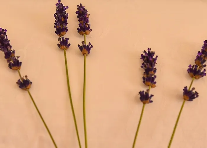 New Luxury 3 Bedroom 4 Air Conditioners דירה *